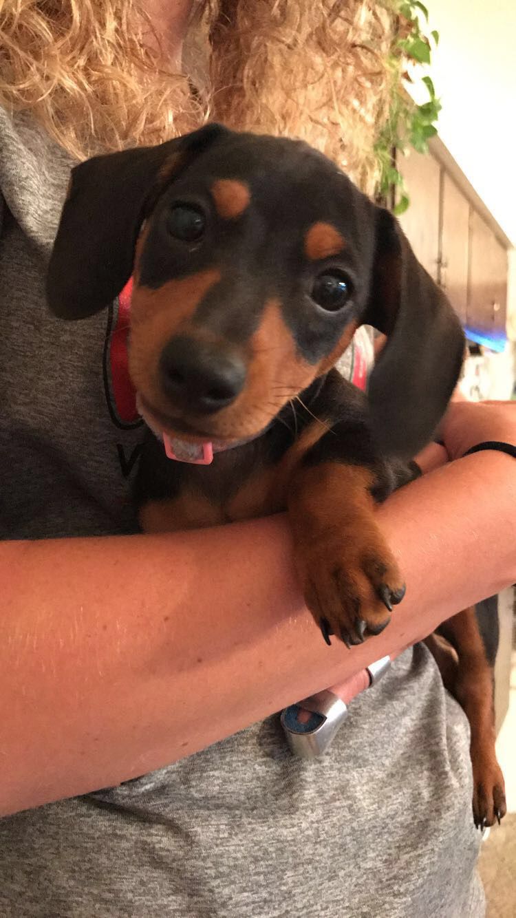 Millie Mae
